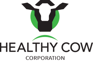 Healthy Cow