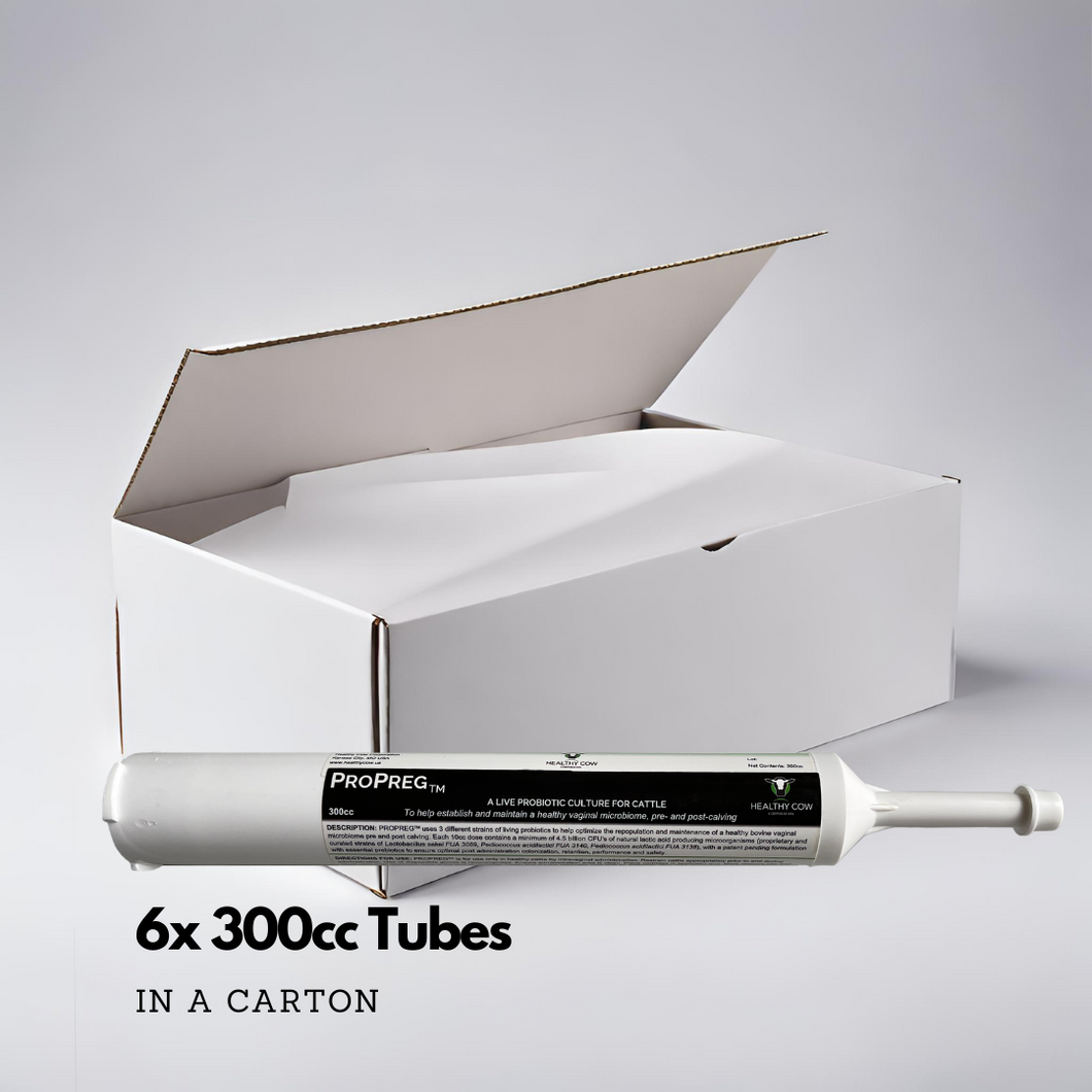 ProPreg™ Carton - 6 x 300cc Cartridges