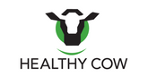 Healthy Cow